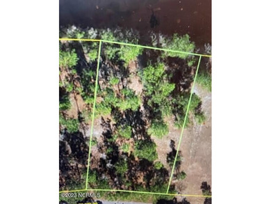 Bay Tree Lake Lot For Sale in Harrells North Carolina