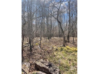 Lake Lot For Sale in Tunkhannock, Pennsylvania