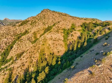 A rare opportunity to acquire Cherry Peak Resort, a - photo 41