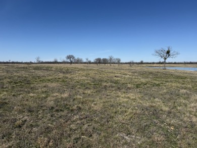 300+ feet of shoreline on Lake Halbert/Magnolia! - photo 27