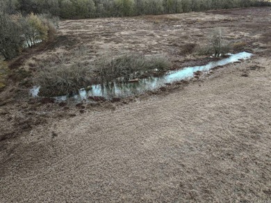 Flooding Timber and Habitat on the L'Anguille River. In the - photo 9