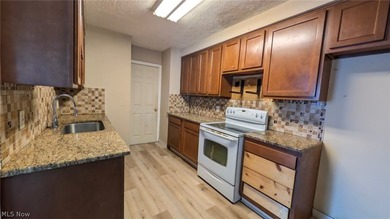 Welcome to 854 E 250th in beautiful Euclid, OH. This property is - photo 14