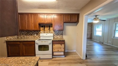 Welcome to 854 E 250th in beautiful Euclid, OH. This property is - photo 15