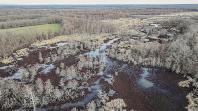 (private lake, pond, creek) Acreage For Sale in Palestine Arkansas
