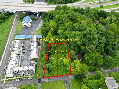 RARE Two South Waterfront lots situated right along the - photo 1