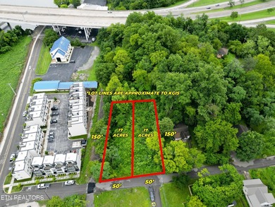 RARE Two South Waterfront lots situated right along the - photo 2