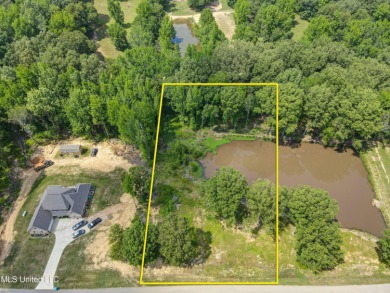(private lake, pond, creek) Lot For Sale in Nesbit Mississippi
