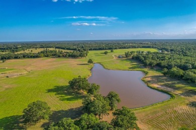 (private lake, pond, creek) Home Active Under Con in Teague Texas