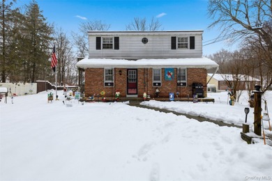 Lake Home For Sale in Pleasant Valley, New York