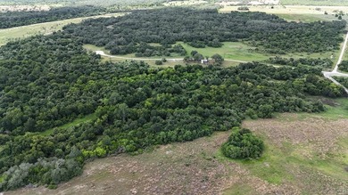 (private lake, pond, creek) Lot Sale Pending in Refugio Texas