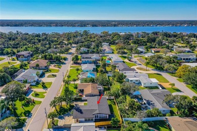 Beachside luxury awaits in this sought-after Ormond Beach - photo 41