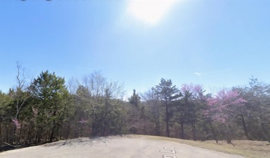 Table Rock Lake - Carroll County Lot For Sale in Holiday Island Arkansas