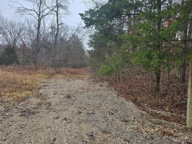 Lake Lot For Sale in Branson, Missouri