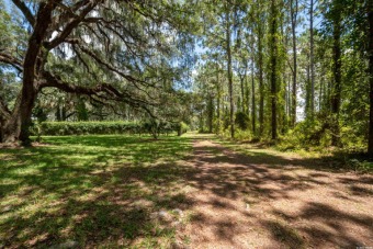 (private lake, pond, creek) Acreage For Sale in Hawthorne Florida