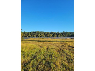 (private lake, pond, coastal) Acreage For Sale in Waycross Georgia
