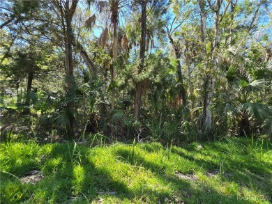 Homosassa River Lot For Sale in Homosassa Florida