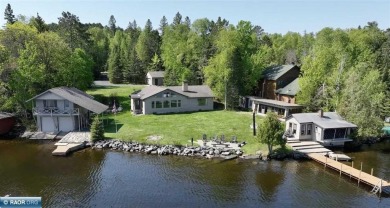 Lake Home For Sale in Tower, Minnesota