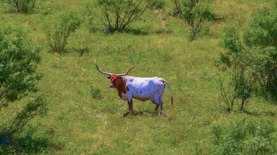 Wolf Creek Ranch is located less than one mile south of the - photo 13
