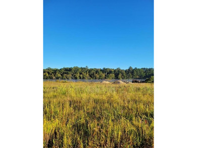 (private lake, pond, coastal) Acreage For Sale in Waycross Georgia