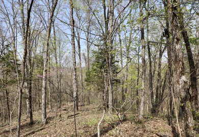 Laurel Mountain Lake Lot Sale Pending in Madisonville Tennessee