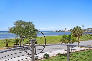 Set along one of St. Petersburg's most treasured waterfront - photo 46