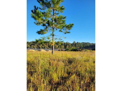 (private lake, pond, coastal) Acreage For Sale in Waycross Georgia