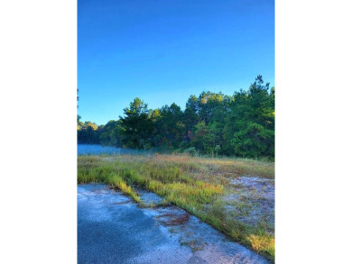 Lake Acreage For Sale in Waycross, Georgia