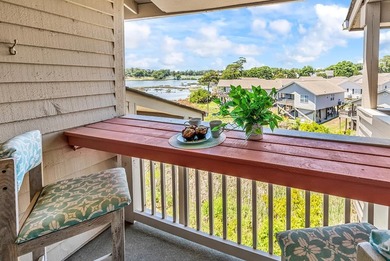 Exceptional marsh-front views, a spacious two-story layout, and - photo 23