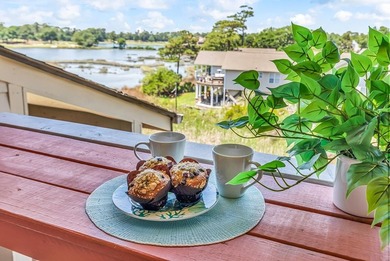 Exceptional marsh-front views, a spacious two-story layout, and - photo 24