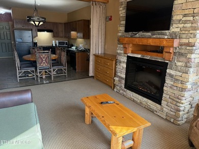 Incredible Investment Opportunity at Wilderness at the Smokies - photo 5
