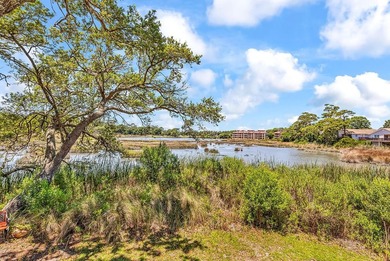 Exceptional marsh-front views, a spacious two-story layout, and - photo 31