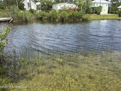 This waterfront lot has 50' on the water just off of Breath - photo 1