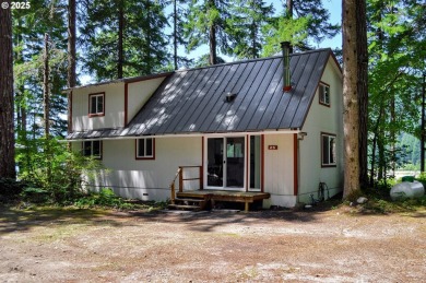 Lake Home For Sale in Cougar, Washington