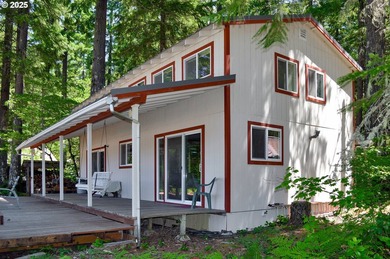 Waterfront Living with a Private Dock & Stunning Views! This - photo 3