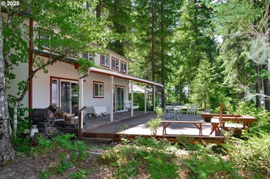 Waterfront Living with a Private Dock & Stunning Views! This - photo 4