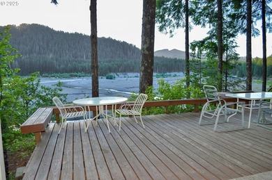 Waterfront Living with a Private Dock & Stunning Views! This - photo 6