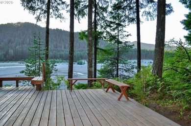 Waterfront Living with a Private Dock & Stunning Views! This - photo 7