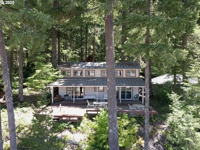 Waterfront Living with a Private Dock & Stunning Views! This - photo 9