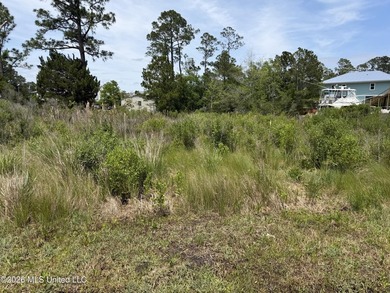 100* of water frontage! This double lot is just a stone's throw - photo 1