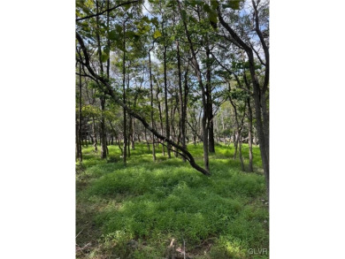 Lake Lot For Sale in Tunkhannock Township, Pennsylvania