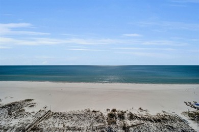 Unobstructed Views From Every Room Of This 3,705 Sq Ft Condo - photo 44