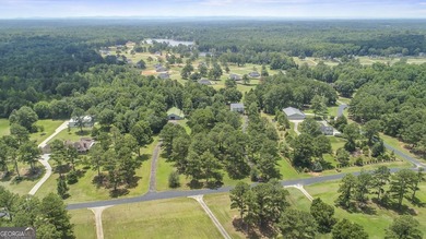 Wheels down at Eagles Landing, one of the region's finest fly-in - photo 45