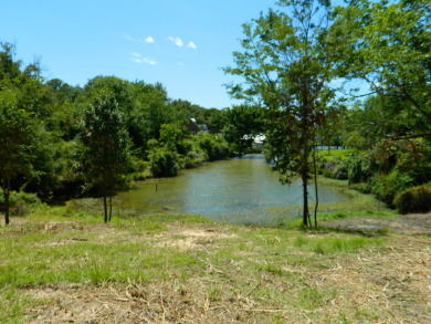 Lake Lot SOLD! in Marquez, Texas