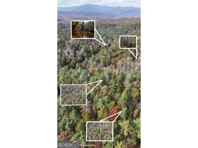 Soque River Acreage For Sale in Clarkesville Georgia