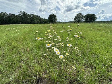 143.09+/- acres spanning Florida and Alabama with a rare - photo 11