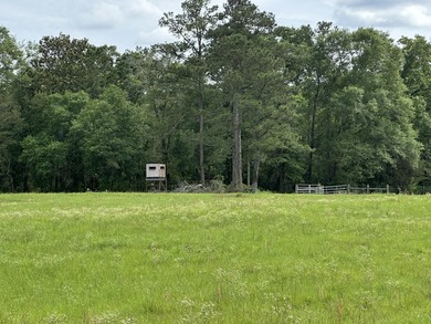 143.09+/- acres spanning Florida and Alabama with a rare - photo 12