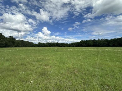 143.09+/- acres spanning Florida and Alabama with a rare - photo 13