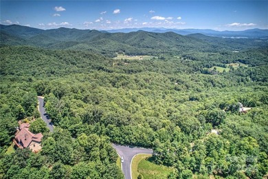 Large 1.6 acre lot in the heart of Mills River in desirable - photo 3