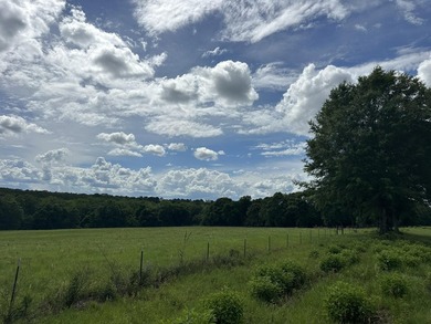143.09+/- acres spanning Florida and Alabama with a rare - photo 14