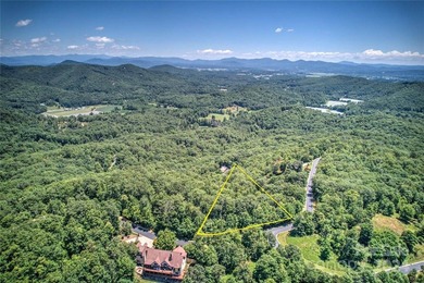 Large 1.6 acre lot in the heart of Mills River in desirable - photo 4